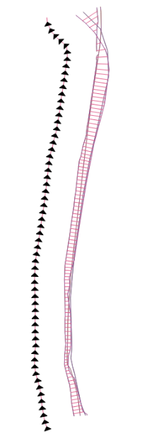 Example NSM statistic layer when clip transect intersections applied