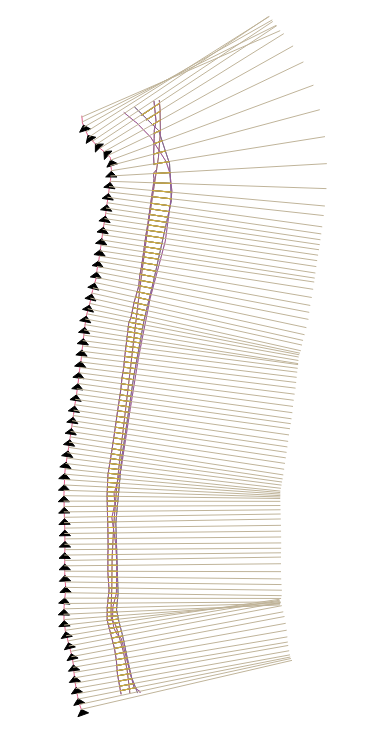 Showing the created transects