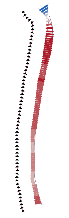 Visualized NSM statistic